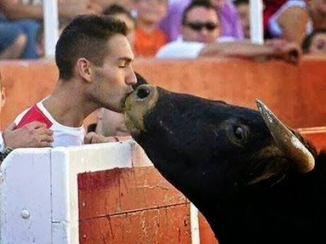 Λίγο πριν πέσει νεκρός στην αρένα, ένας αντι-ταυρομάχος ακτιβιστής του δίνει το τελευταίο φιλί της ζωής του…
